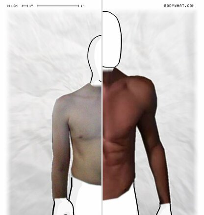 Torso Comparison