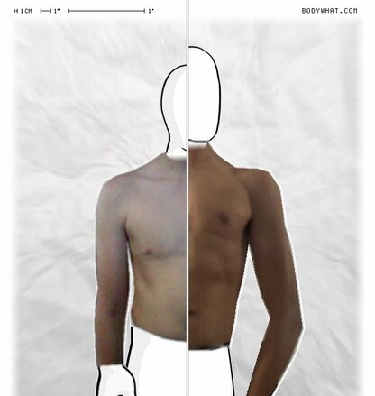 Torso Comparison