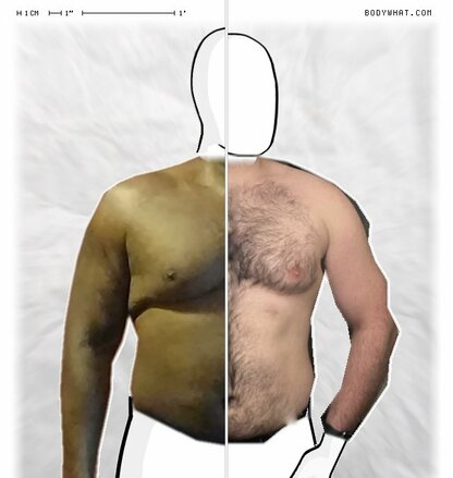 Torso Comparison