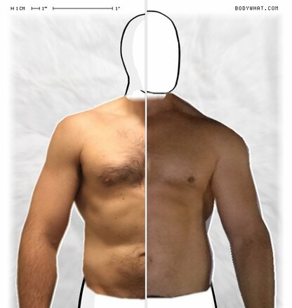 Torso Comparison