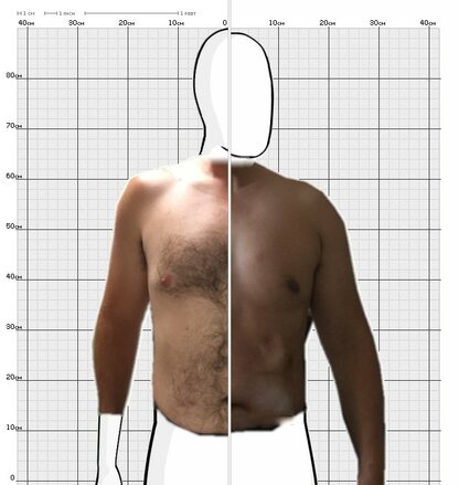 Torso Comparison