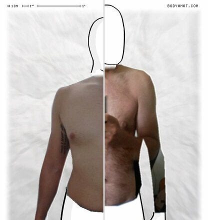 Torso Comparison