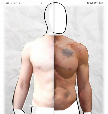 Torso Comparison