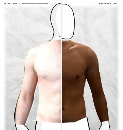 Torso Comparison