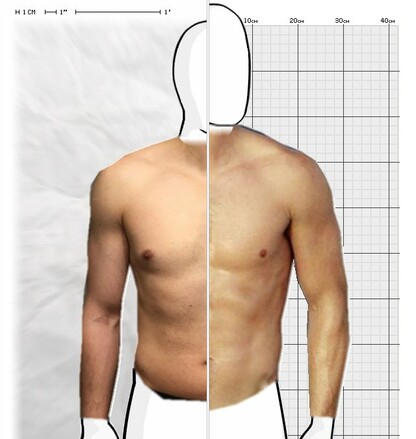 Torso Comparison