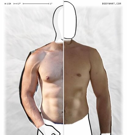 Torso Comparison