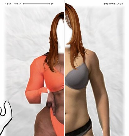 Torso Comparison