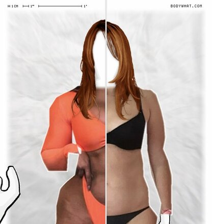 Torso Comparison