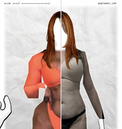Torso Comparison