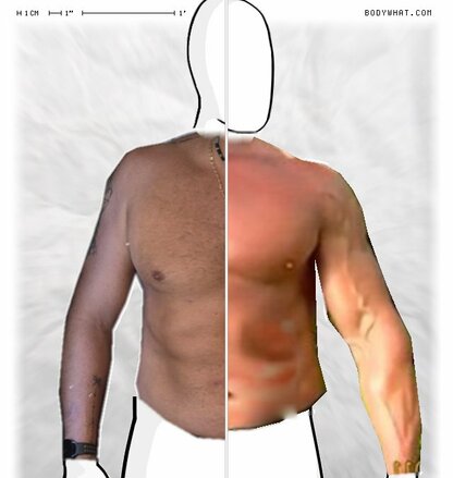 Torso Comparison