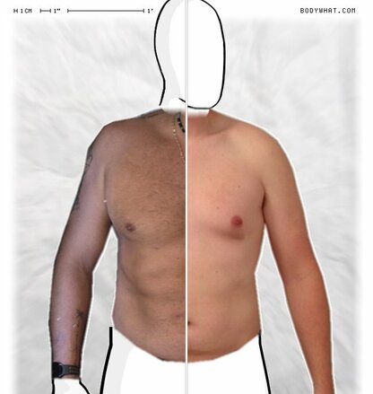 Torso Comparison