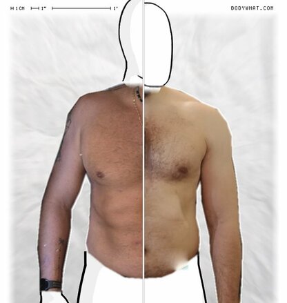 Torso Comparison