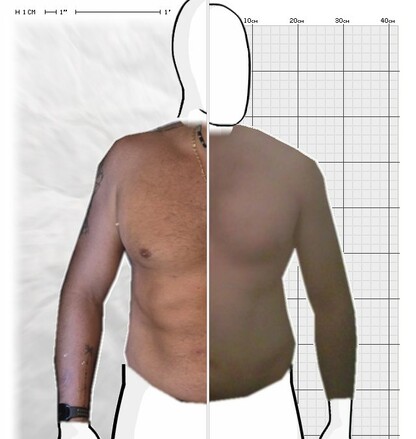 Torso Comparison