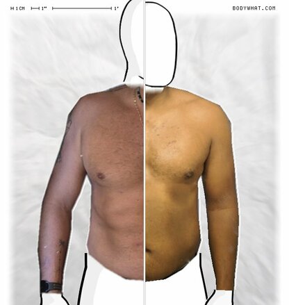 Torso Comparison