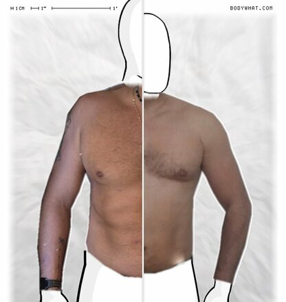 Torso Comparison