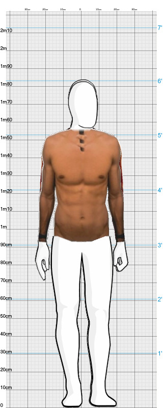 Full Size Comparison