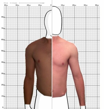 Torso Comparison