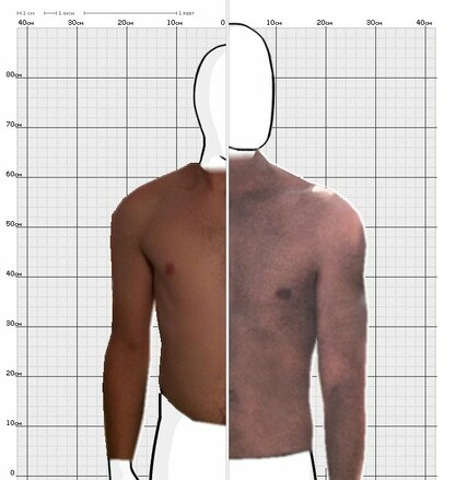 Torso Comparison