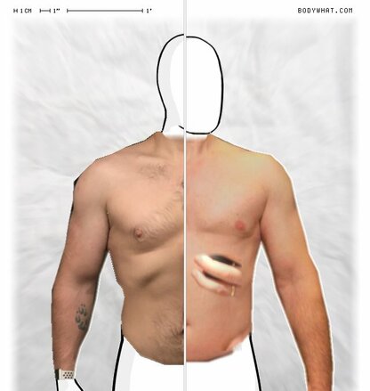 Torso Comparison