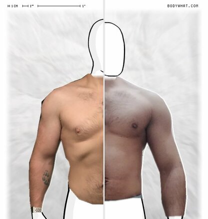 Torso Comparison