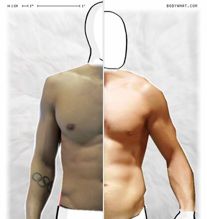 Torso Comparison