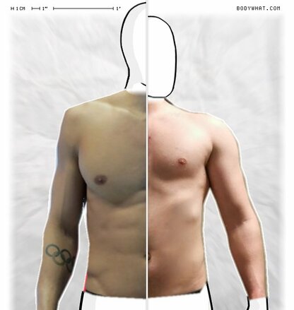 Torso Comparison