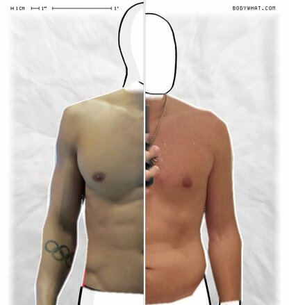 Torso Comparison