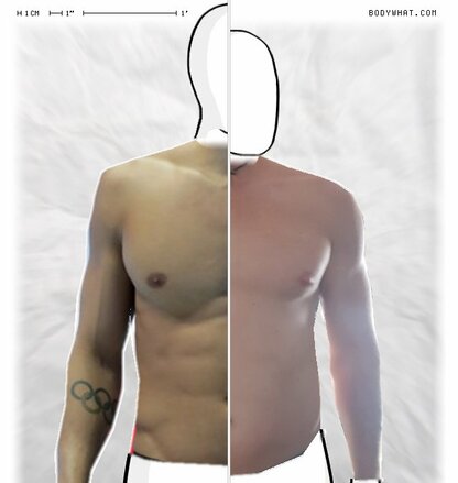 Torso Comparison