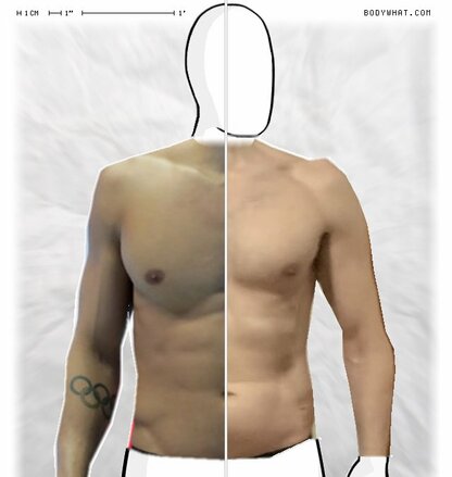 Torso Comparison