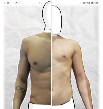 Torso Comparison