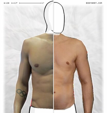 Torso Comparison