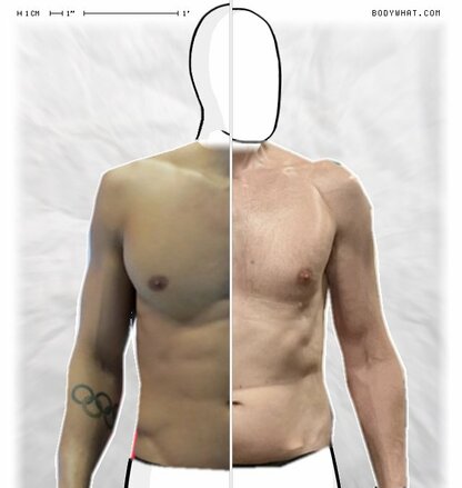 Torso Comparison