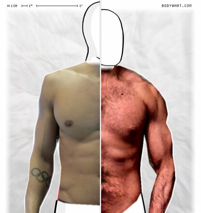 Torso Comparison