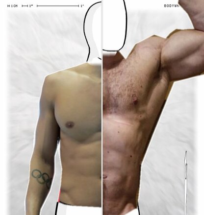 Torso Comparison