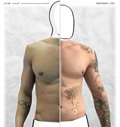 Torso Comparison