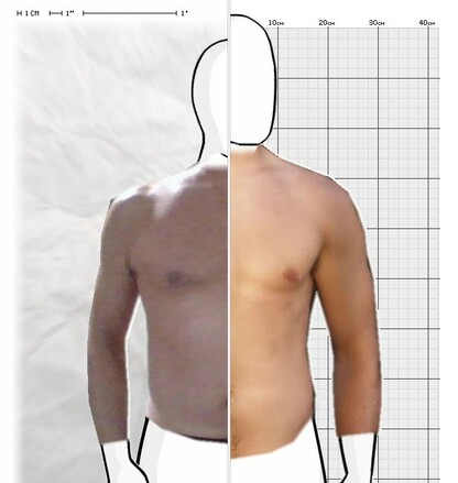 Torso Comparison