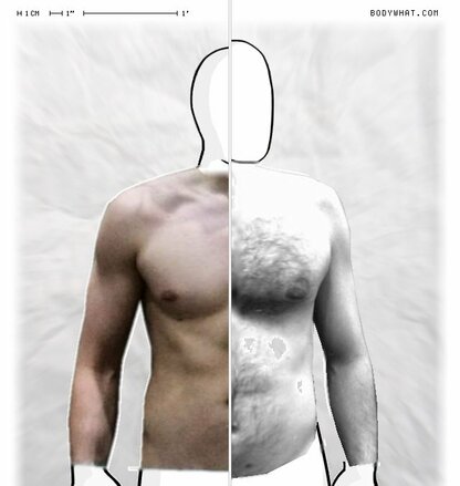 Torso Comparison