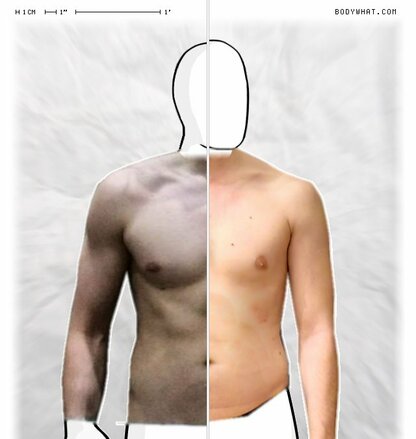 Torso Comparison