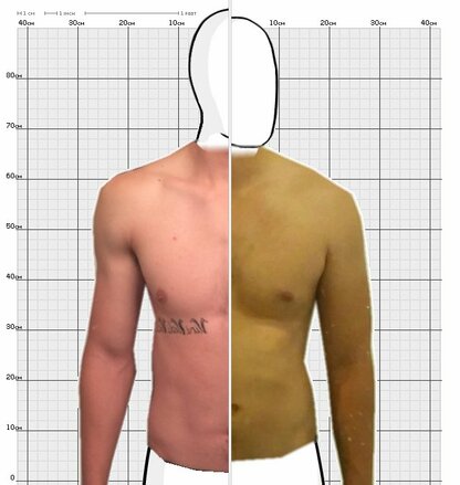 Torso Comparison