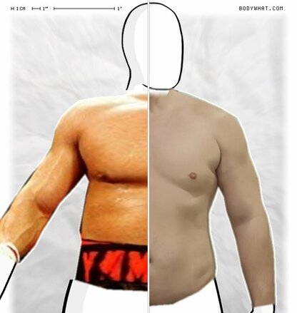 Torso Comparison