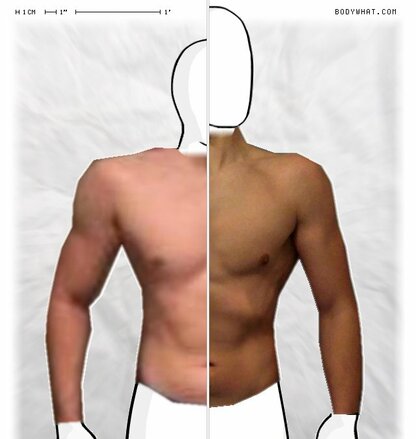 Torso Comparison