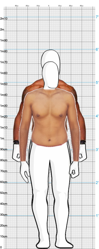 Full Size Comparison