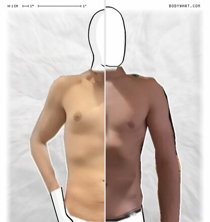 Torso Comparison