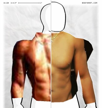 Torso Comparison