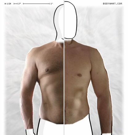 Torso Comparison