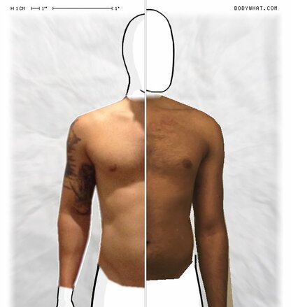 Torso Comparison