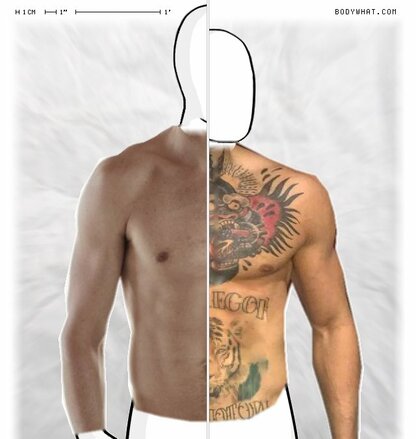 Torso Comparison