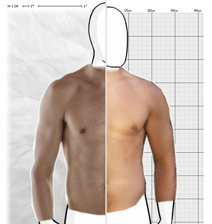 Torso Comparison