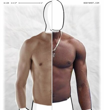 Torso Comparison