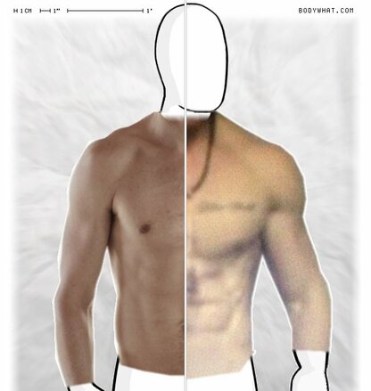 Torso Comparison